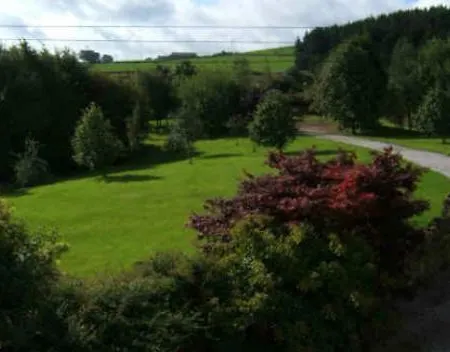 Loadbrook Oda ve Kahvaltı Sheffield
